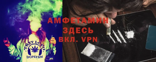 mdpv Богородицк