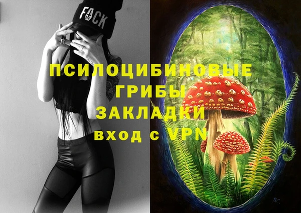 mdpv Богородицк