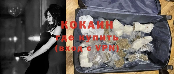 mdpv Богородицк