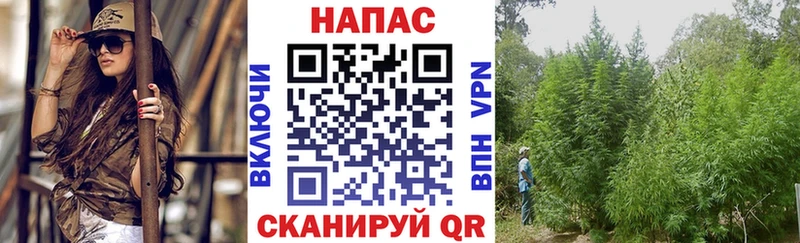 Канабис MAZAR  Энгельс 